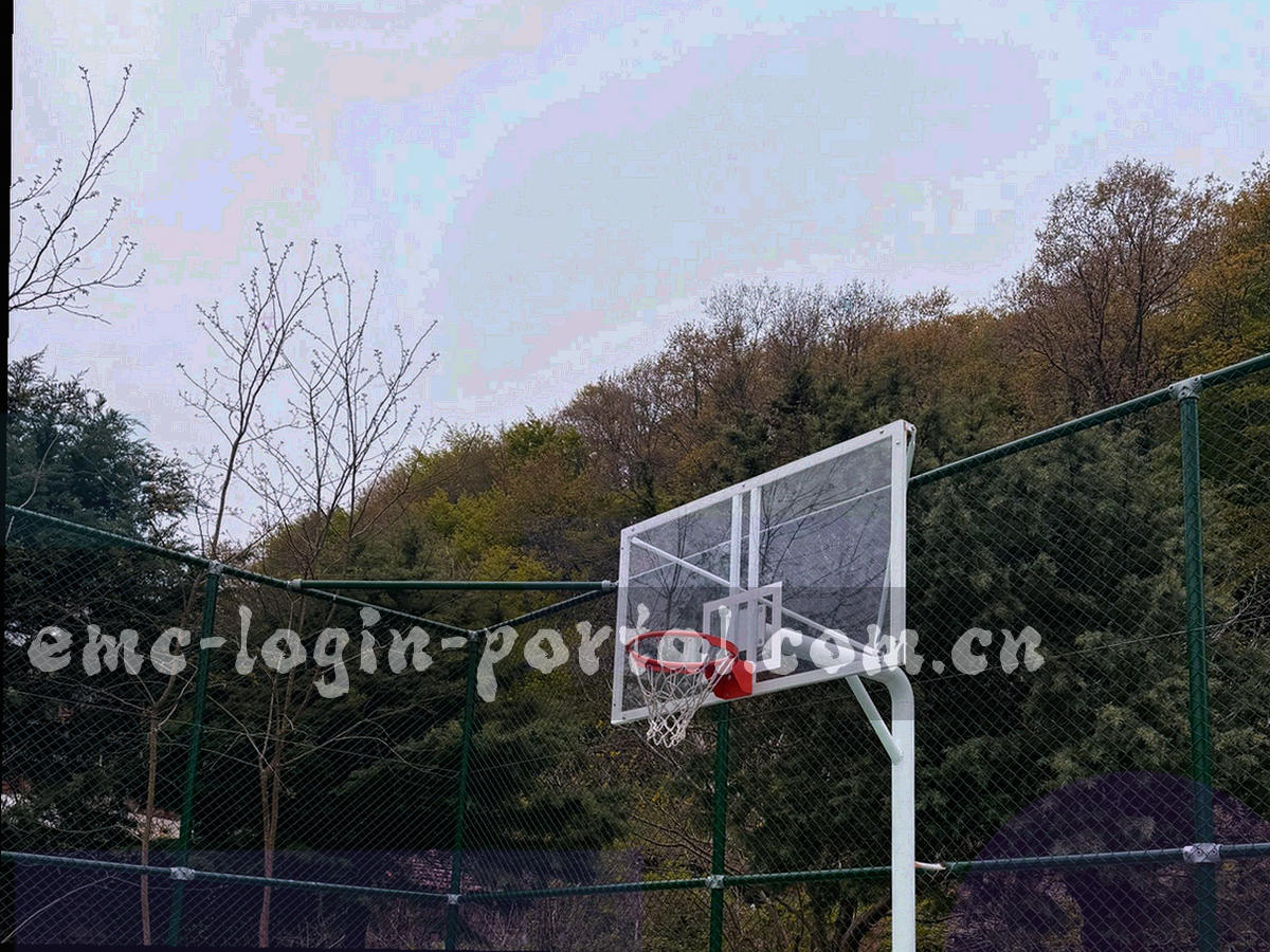 暖金色调的订阅入口界面局部特写